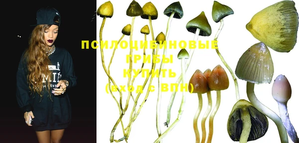 PSILOCYBIN Бугульма
