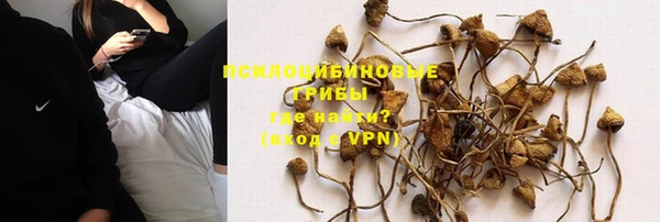 трава Бронницы