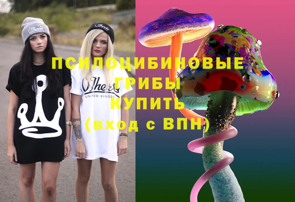 PSILOCYBIN Бугульма
