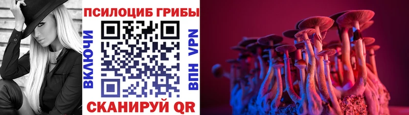 Галлюциногенные грибы Cubensis  Верхний Тагил 